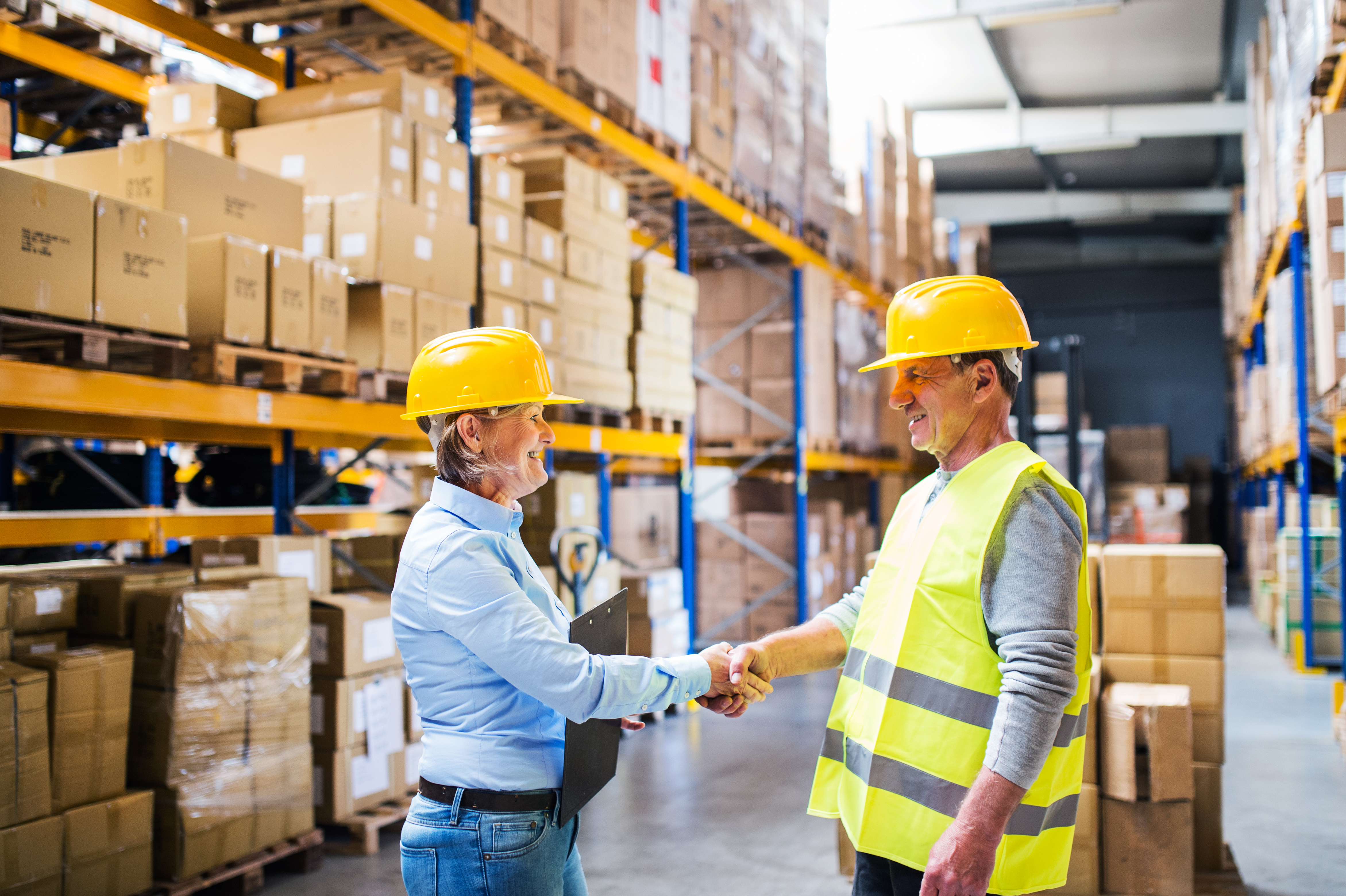 Infor SyteLine ERP-Inventory to Count